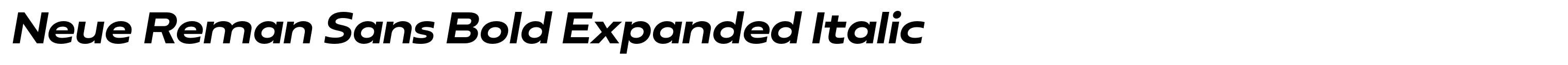 Neue Reman Sans Bold Expanded Italic